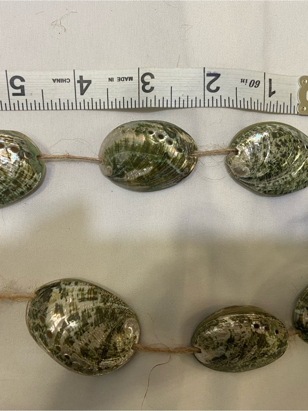 Beautiful Polished Full Abalone Shells